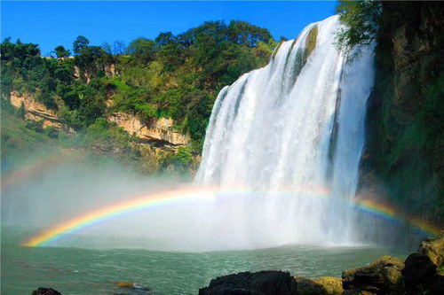 詩(shī)句,不放棄,希望