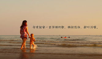 表現(xiàn)親情母愛的古詩(shī)句