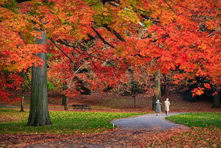描寫秋天的古詩句有哪些三級