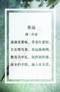 關(guān)于春風(fēng)的詞語詩句