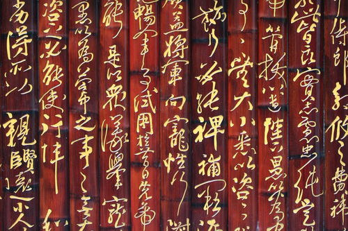 描寫海南的詩句古詩