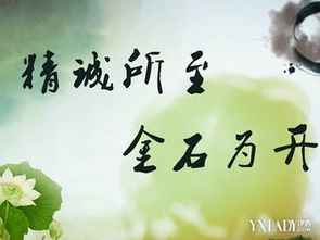 關(guān)于老師的名言和詩(shī)句有哪些,關(guān)于老師的名言和詩(shī)句還有文章,老師對(duì)學(xué)生的期望名言或詩(shī)句