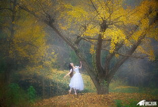 4首關(guān)于秋天的詩句