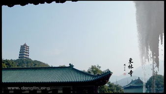 關(guān)于東林寺的詩(shī)句