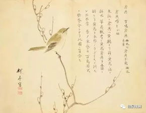 詩經里關于七月的詩句