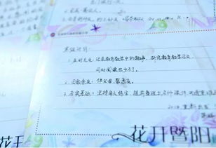 寫兩句關于寒假的詩句