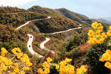 關(guān)于農(nóng)村公路的詩句