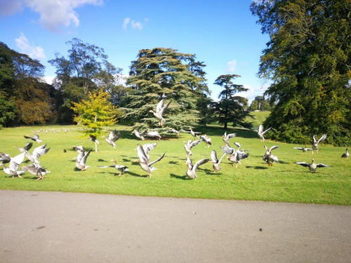 古詩中舍身取義的詩句