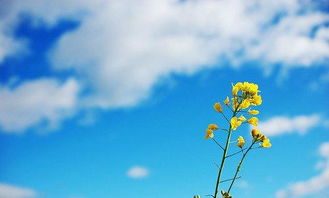 理想信念詩(shī)句古詩(shī)