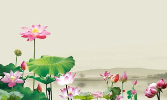 古詩(shī)詞中贊揚(yáng)蓮花清廉的詩(shī)句