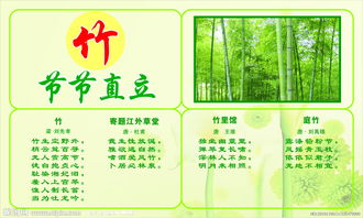 梅花蘭花的詩(shī)句古詩(shī)自創(chuàng)