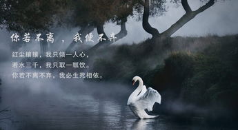 生死相依的愛情古詩句