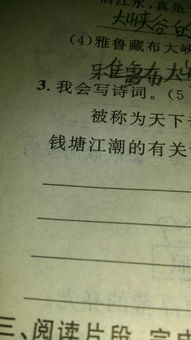 所有關(guān)于潮的詩句