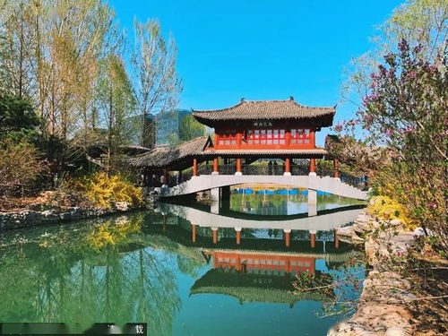 亭臺(tái)樓閣,詩句,別致,描寫