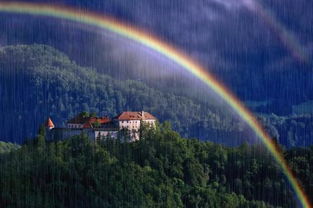 關(guān)于描寫暴雨的詩句