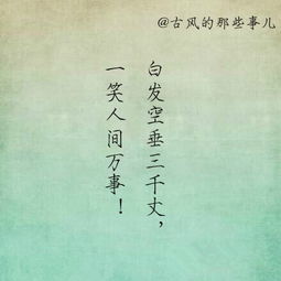 關(guān)于我最喜歡的詩(shī)句