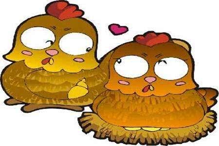 關(guān)于生肖雞的詩句