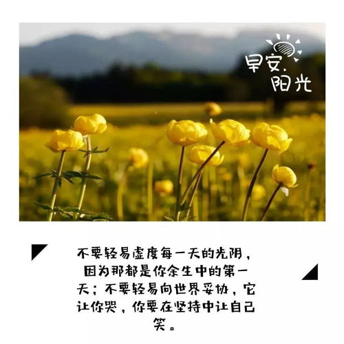 積極向上文藝的古詩句