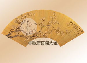 中秋節(jié)詩句古詩關(guān)于團(tuán)圓