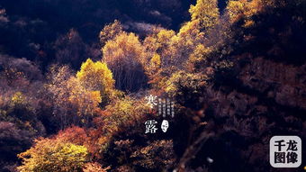 關(guān)于節(jié)氣景色的詩句