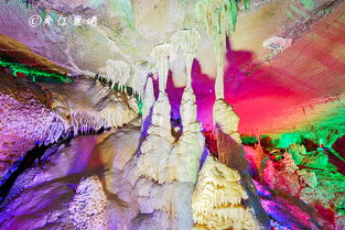 關(guān)于石頭開花結(jié)果的詩句