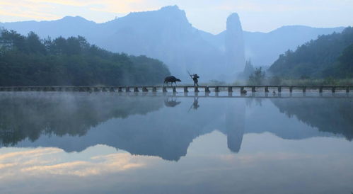 關(guān)于鼎湖峰風(fēng)景的詩句詞句