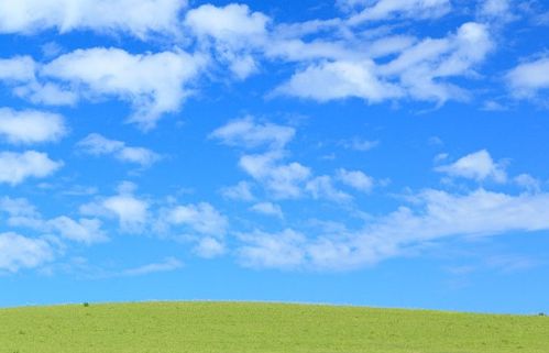 關于蘭天白云詩句