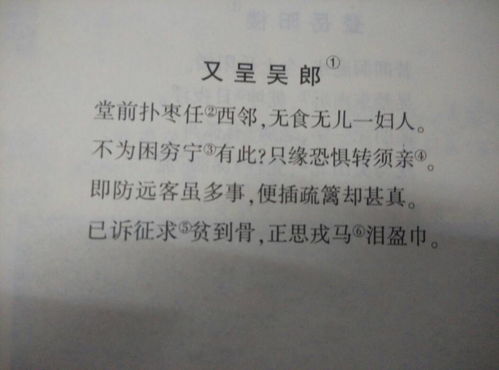 古詩(shī),詩(shī)句,翻譯