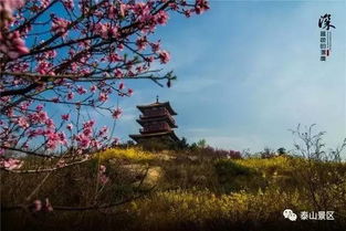 描寫泰山美的詩句古詩