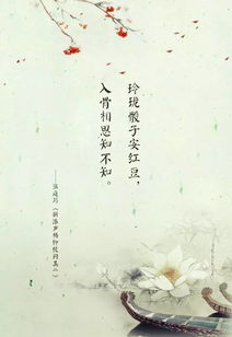 詩句,決心,忘記