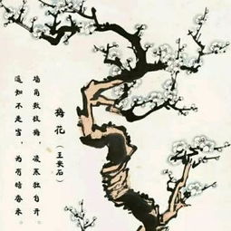 夜雪的詩句古詩