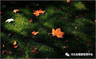 久別親人重逢的古詩(shī),關(guān)于重逢的古詩(shī)句,思念親人的古詩(shī)句