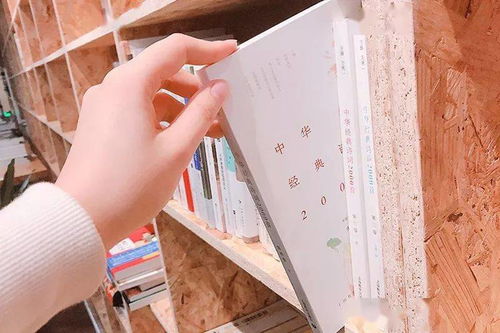 古詩(shī)文罵人的詩(shī)句,寫雪的古詩(shī)文詩(shī)句,王羲之的古詩(shī)文著名詩(shī)句