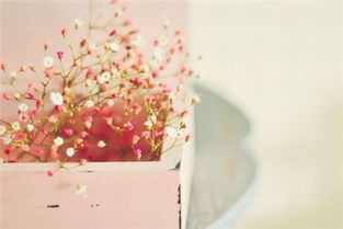 形容無(wú)私古詩(shī)句