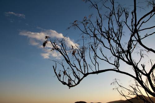 關(guān)于ai的韻腳詩句