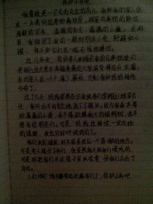 談談古詩句作文400字