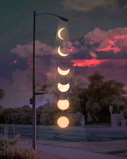 詩句中有帶夜的古詩