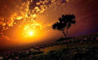 關(guān)于鄉(xiāng)村黃昏的詩(shī)句