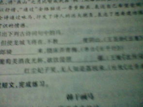 寫出一處古詩中寫愁的詩句