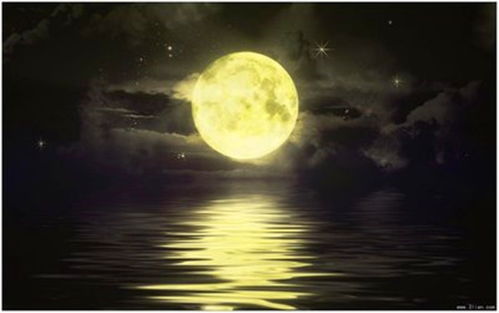 小學(xué)中秋節(jié)思鄉(xiāng)的詩句古詩