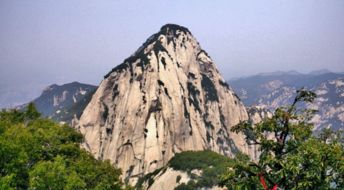 松樹的詩句古詩,形容松樹的詩句古詩,寫松樹的詩句古詩