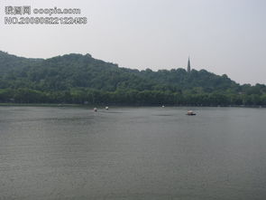 綠水青山總是情搞笑詩句,綠水青山總是情的意思,綠水青山總是情的歌詞