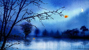 關(guān)于夏夜納涼的詩句