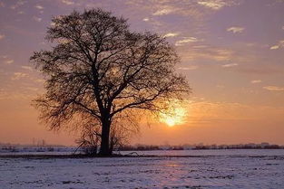 帶情緣的古詩(shī)句