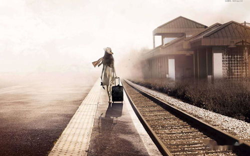 關(guān)于夢蝶詩句