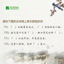 小學(xué)夏天的古詩(shī)句