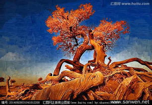 關于胡楊的名言詩句