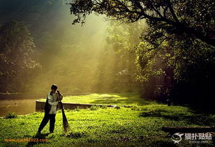 詩句,人文,自然