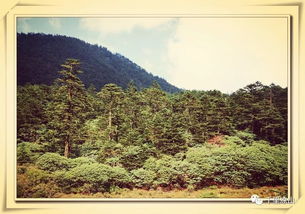 潛伏的古詩句子