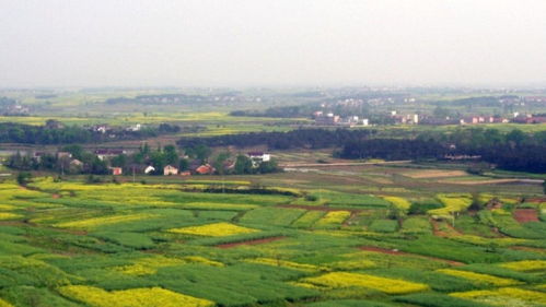 田園風光詩句古詩詞,關(guān)于山水田園風光的古詩詞,關(guān)于孟浩然田園風光的古詩詞